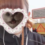 ひなの14時からฅ•ω•ฅ♡