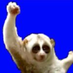 8月ランキング更新したあああああ