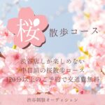 桜が最高すぎる
