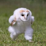 るみ今日急遽出勤してる( •̀ω•́ )