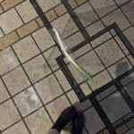 ひさしぶり!るのいました👶🏻