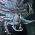 水族館に行ったよ※グロ注意