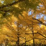 おはようございます☀れんです！