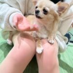 休日のしずか👧🏻②